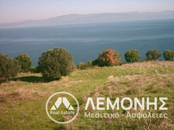 ΑΓΡΟΤΕΜΑΧΙΟ προς Πώληση - ΧΑΛΚΙΔΙΚΗ 1ο ΠΟΔΙ