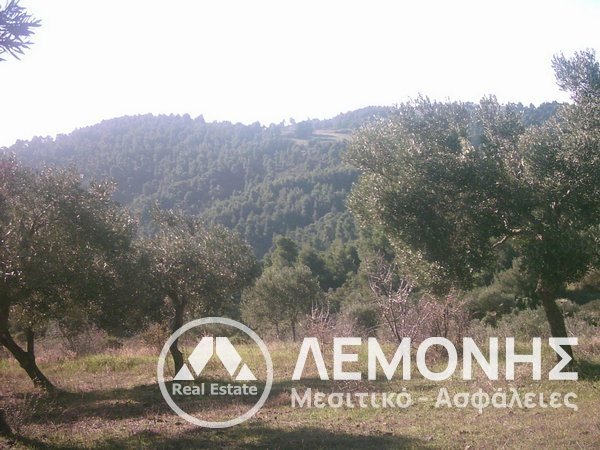 ΑΓΡΟΤΕΜΑΧΙΟ προς Πώληση - ΧΑΛΚΙΔΙΚΗ 1ο ΠΟΔΙ