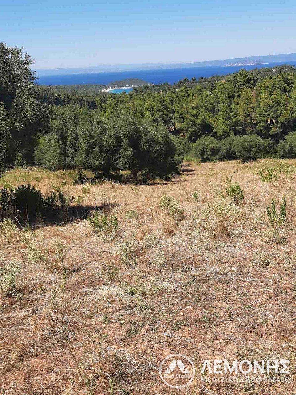 LAND for Sale - CHALKIDIKI 1ST FOOT