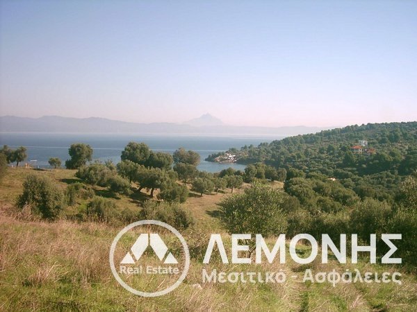 LAND for Sale - CHALKIDIKI 1ST FOOT